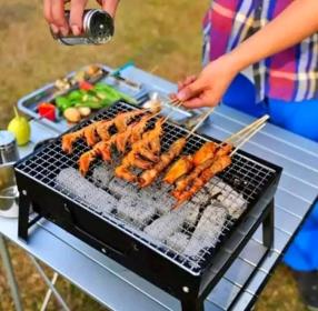 Barbecue BBQ TL-372 35cm×27cm